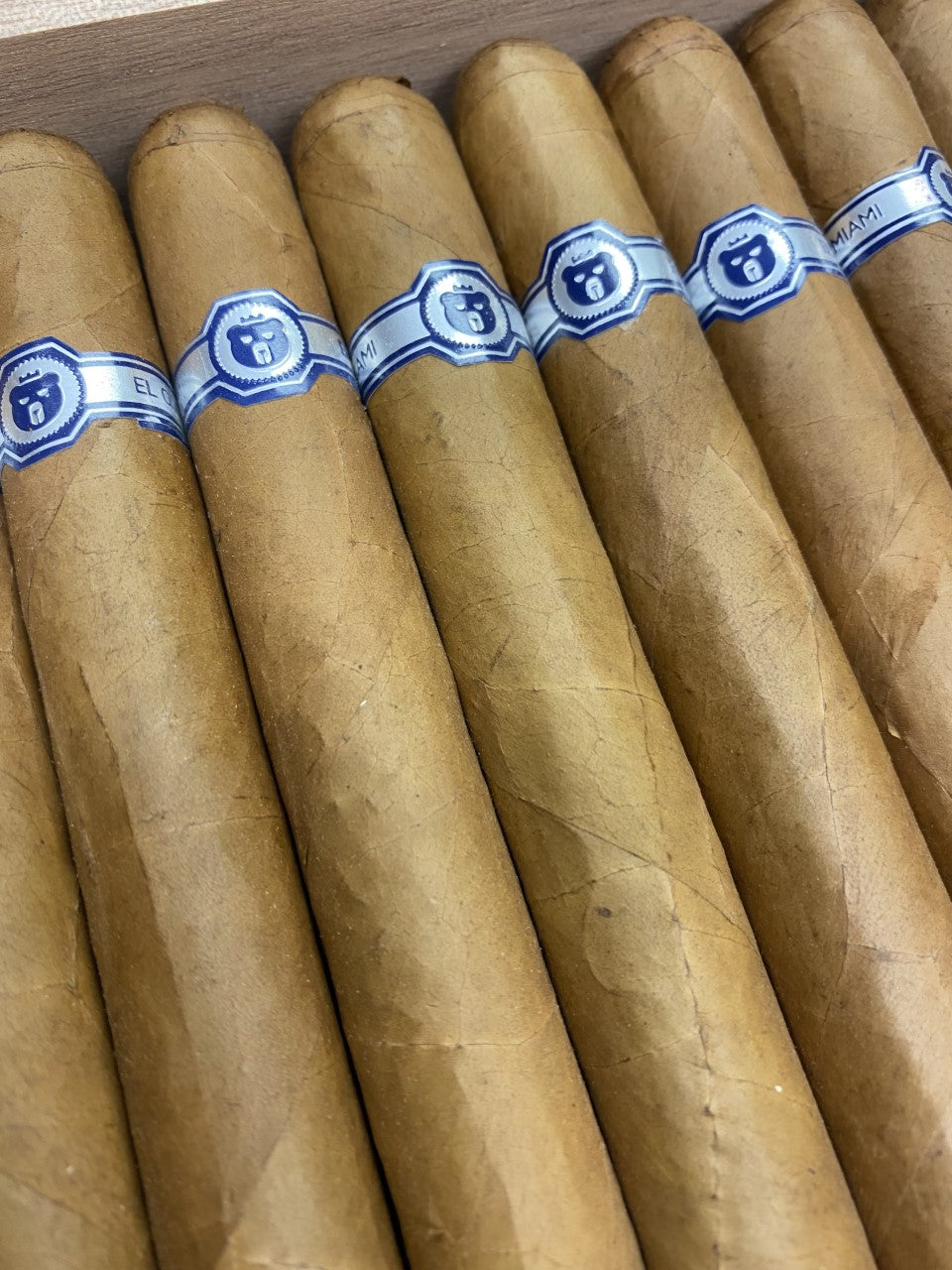 Warped El Oso Blanco Toro 5 Pack